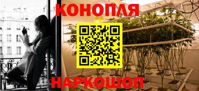 твердый Будённовск