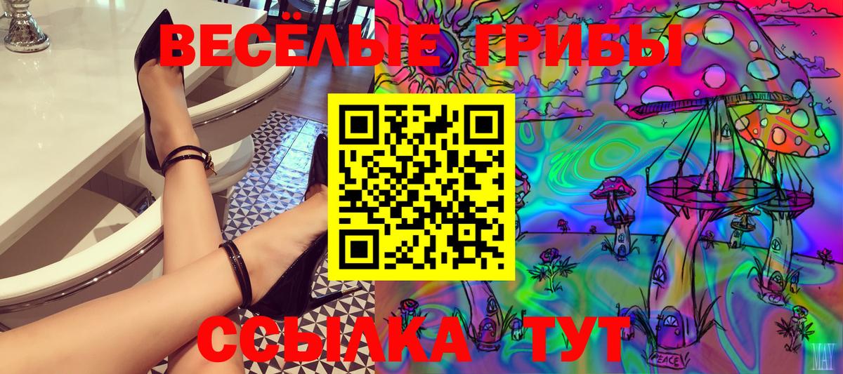Кудрово  Галлюциногенные грибы мухоморы  магазин  наркотиков  Вход с VPN  Галлюциногенные грибы мухоморы 