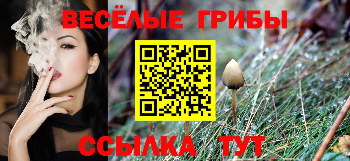 Меф МЯУ МЯУ   МАРИХУАНА  МДМА  Кудрово  Вход с VPN  ГАШ  Метамфетамин 